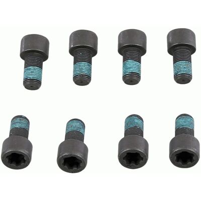 Schroevenset Voor Vliegwiel Sachs 1874 000 078 Schroevenset Voor Vliegwiel Sachs 1874 000 078