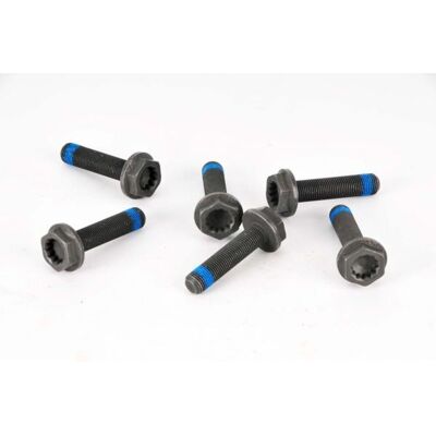 Schaeffler Luk Schroevenset Vliegwiel Luk 411 0118 10 Schaeffler Luk Schroevenset Vliegwiel Luk 411 0118 10