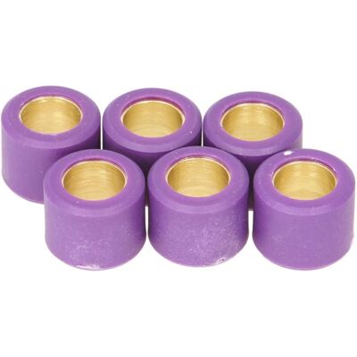 Variatorrollen Athena S41000030p019 Variatorrollen Athena S41000030p019