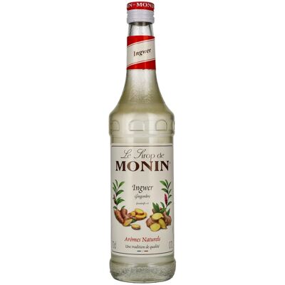 Le Sirop de Monin INGWER 0,7l Le Sirop de Monin INGWER 0,7l