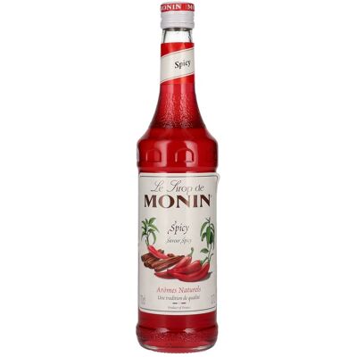 Le Sirop de Monin SPICY 0,7l Le Sirop de Monin SPICY 0,7l