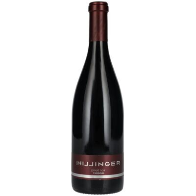 Leo Hillinger Hillinger Pinot Noir Terrior 2021 13% Vol. 0,75l Leo Hillinger Hillinger Pinot Noir Terrior 2021 13% Vol. 0,75l