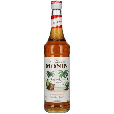 Le Sirop de Monin KARIBISCHER RUM 0,7l Le Sirop de Monin KARIBISCHER RUM 0,7l