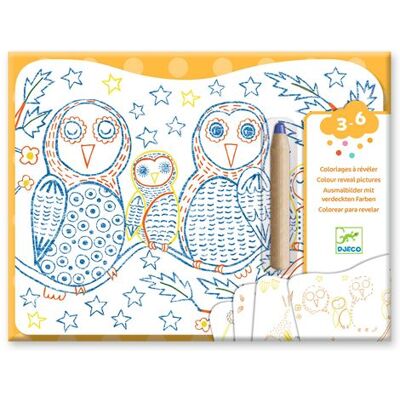 Djeco Tekenen En Kleuren Voor Kinderen Dierenfamilies In Het Bos - Creatief Speelgoed Djeco Tekenen En Kleuren Voor Kinderen Dierenfamilies In Het Bos - Creatief Speelgoed