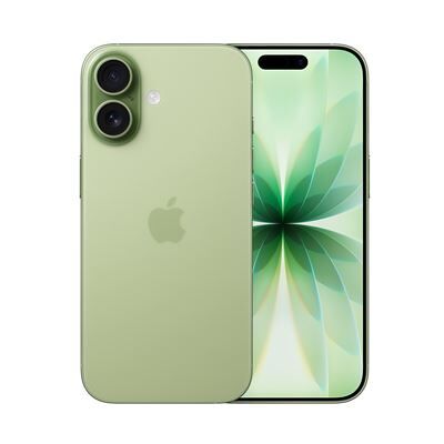 Apple iPhone 17 5G Dual SIM 256 GB 6.3" Sage Apple iPhone 17 5G Dual SIM 256 GB 6.3" Sage