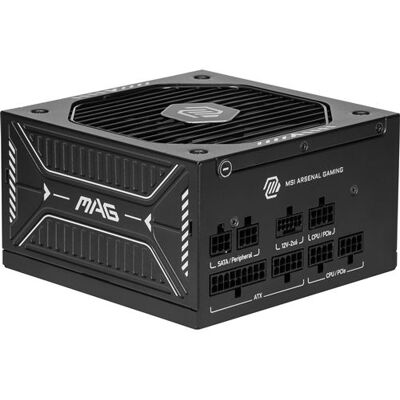 MSI Modulaire PC-voeding MAG A650GLS PCIE5 650W 80 PLUS Gold zwart MSI Modulaire PC-voeding MAG A650GLS PCIE5 650W 80 PLUS Gold zwart
