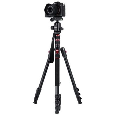 Rollei Statief Compact Traveler II Zwart voor camera en smartphone Rollei Statief Compact Traveler II Zwart voor camera en smartphone