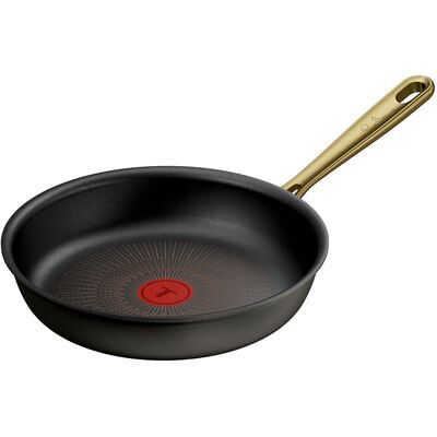 Tefal Pan Paul Bocuse G3370402 24 cm Grijs Tefal Pan Paul Bocuse G3370402 24 cm Grijs