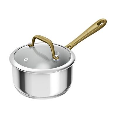 Tefal & Bocuse Roestvrijstalen steelpan H8242202 16 cm Tefal & Bocuse Roestvrijstalen steelpan H8242202 16 cm