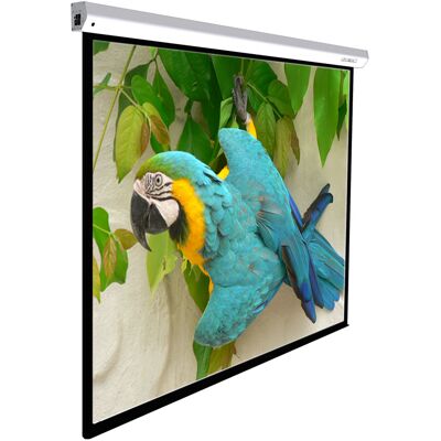 Lumene Majestic Premium 200V - Projectiescherm - monteerbaar aan muur, aan het plafond monteerbaar - gemotoriseerd - 100" (254 cm) - 4:3 - WMat-EL - gelakt wit Lumene Majestic Premium 200V - Projectiescherm - monteerbaar aan muur, aan het plafond monteerbaar - gemotoriseerd - 100" (254 cm) - 4:3 - WMat-EL - gelakt wit