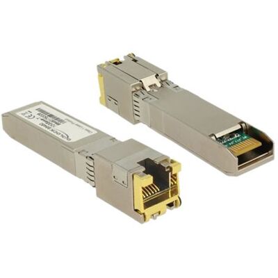 Delock - SFP+ transceivermodule - 10 GigE - 10GBase-T - RJ-45 Delock - SFP+ transceivermodule - 10 GigE - 10GBase-T - RJ-45