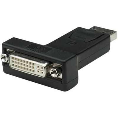 TECHly - Videoadapter - DisplayPort (M) naar DVI-I (V) - 7.3 cm - zwart TECHly - Videoadapter - DisplayPort (M) naar DVI-I (V) - 7.3 cm - zwart
