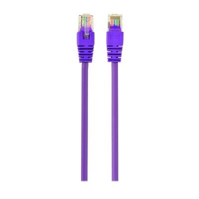 Gembird - Verbindingskabel - RJ-45 (M) naar RJ-45 (M) - 25 cm - UTP - CAT 5e - gevormd - paars Gembird - Verbindingskabel - RJ-45 (M) naar RJ-45 (M) - 25 cm - UTP - CAT 5e - gevormd - paars