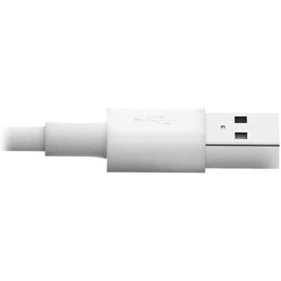Eaton Tripp Lite Series USB-A to Lightning Sync/Charge Cable (M/M) - MFi Certified, White, 6 ft. (1.8 m) - Data / stroomkabel - USB male naar Lightning male - 1.83 m - wit - voor P/N: U280-001-C2, U280-006-C3A-ST, U280-C02-30W-K, U280-C02-63W-1B, U442-DOC Eaton Tripp Lite Series USB-A to Lightning Sync/Charge Cable (M/M) - MFi Certified, White, 6 ft. (1.8 m) - Data / stroomkabel - USB male naar Lightning male - 1.83 m - wit - voor P/N: U280-001-C2, U280-006-C3A-ST, U280-C02-30W-K, U280-C02-63W-1B, U442-DOC