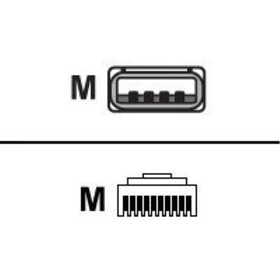 Datalogic USB Cable For Power Off Terminal applications - USB-kabel - USB (M) naar RJ-45 (10 pins) (M) - 2 m Datalogic USB Cable For Power Off Terminal applications - USB-kabel - USB (M) naar RJ-45 (10 pins) (M) - 2 m