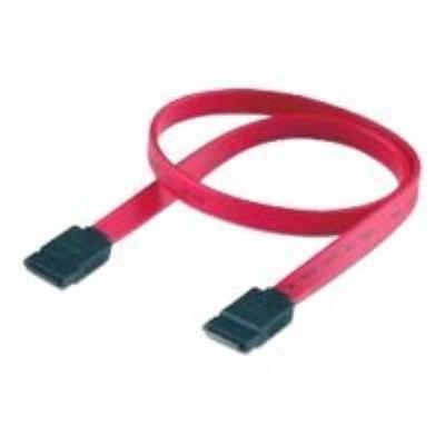 Digital data communications Equip - SATA-kabel - Serial ATA 150/300 - SATA (V) naar SATA (V) met grendel - 1 m - gevormd - rood Digital data communications Equip - SATA-kabel - Serial ATA 150/300 - SATA (V) naar SATA (V) met grendel - 1 m - gevormd - rood