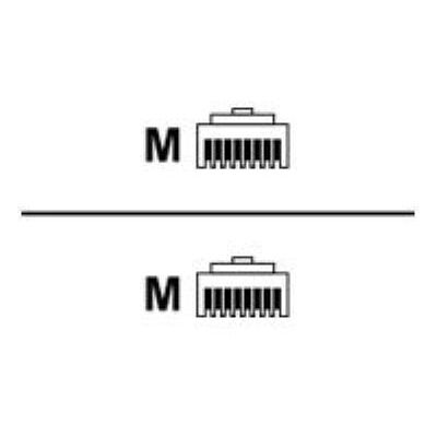 Intronics ACT component level - verbindingskabel - 1.5 m - zwart, RAL 9011 Intronics ACT component level - verbindingskabel - 1.5 m - zwart, RAL 9011