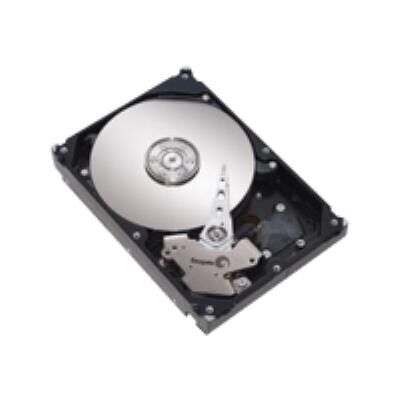 Lenovo - Vaste schijf - 500 GB - hot-swap (verwisselbaar zonder uitschakelen) - 2.5" SFF Slim - SATA 3Gb/s - 7200 tpm - voor BladeCenter HS22; System x3400 M2; x3500 M2; x35XX M3; x3650 M2; x36XX M3; x3850 X5 Lenovo - Vaste schijf - 500 GB - hot-swap (verwisselbaar zonder uitschakelen) - 2.5" SFF Slim - SATA 3Gb/s - 7200 tpm - voor BladeCenter HS22; System x3400 M2; x3500 M2; x35XX M3; x3650 M2; x36XX M3; x3850 X5