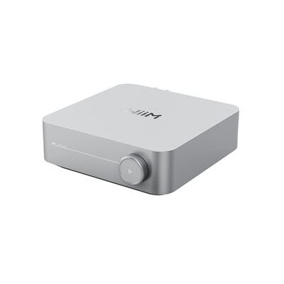 Wiim Hi-Fi-versterker Amp Zilver Wiim Hi-Fi-versterker Amp Zilver