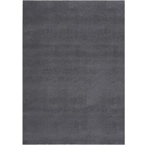 vidaXL Tapis Shaggy Doux Lavable Carpette de Salle de Séjour Tapis de Zone Moquette de Salon Tapis de Sol Intérieur 160x230 cm Antidérapant Anthracite vidaXL Tapis Shaggy Doux Lavable Carpette de Salle de Séjour Tapis de Zone Moquette de Salon Tapis de Sol Intérieur 160x230 cm Antidérapant Anthracite