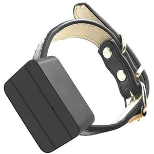 Halsband met waterdichte GPS-tracker voor honden en katten huisdieren Mr Halsband met waterdichte GPS-tracker voor honden en katten huisdieren Mr