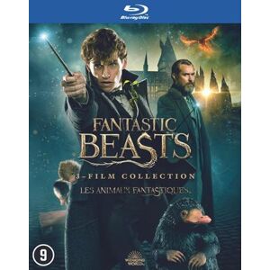 Warner Bros. Fantastic Beasts 1-3 - FR/NL - Bluray Warner Bros. Fantastic Beasts 1-3 - FR/NL - Bluray