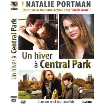 Swift Un hiver a central park Swift Un hiver a central park