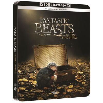 Wbs Fantastic Beasts 1 Stb Blu Ray 4K - Bil Wbs Fantastic Beasts 1 Stb Blu Ray 4K - Bil
