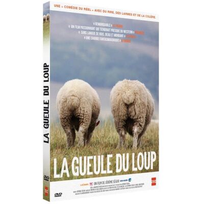 Zed Gueule Du Loup FR Zed Gueule Du Loup FR
