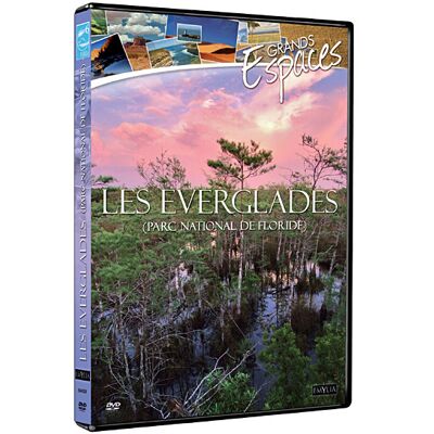 Warner Music Everglades FR Warner Music Everglades FR