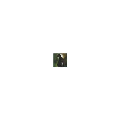 RCA Green man RCA Green man