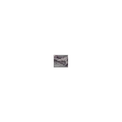 Arion Pieces De Clavin,Airs Et Tri Arion Pieces De Clavin,Airs Et Tri