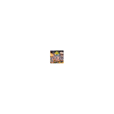 Vanguard Coryell-planet End - Larry Coryell Vanguard Coryell-planet End - Larry Coryell