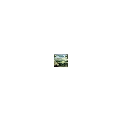 Accent Les Heureux Moments-Six Suites Pour Deux Accent Les Heureux Moments-Six Suites Pour Deux