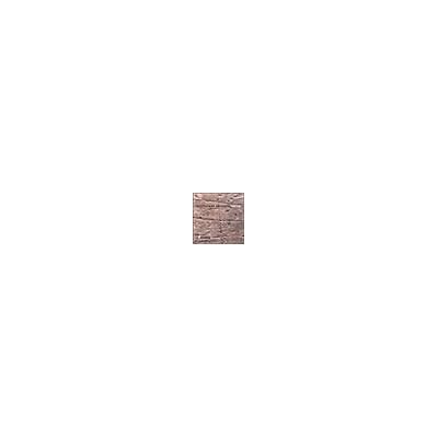 Cyprès Missa Christi Regis Gentium/Cinq Inventi Cyprès Missa Christi Regis Gentium/Cinq Inventi