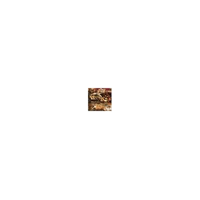 scarlet Shifting Realities - Dakrua scarlet Shifting Realities - Dakrua