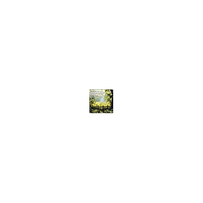 Regis Musique pour piano Regis Musique pour piano