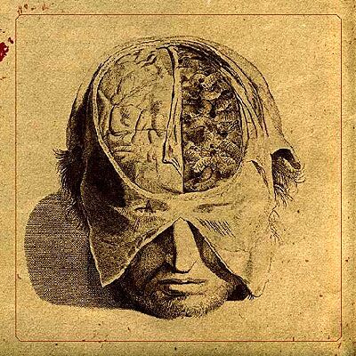 Prophecy Insects (Ltd.Mailpak CD) Prophecy Insects (Ltd.Mailpak CD)