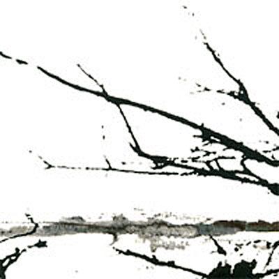 Prophecy Väre (Re- Release) Prophecy Väre (Re- Release)