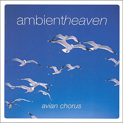 Pegasus Ambient Heaven/avian Chorus - Relaxation Pegasus Ambient Heaven/avian Chorus - Relaxation