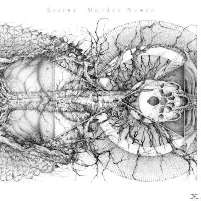 de.phononet Mundus Numen (Grey Vinyl) de.phononet Mundus Numen (Grey Vinyl)