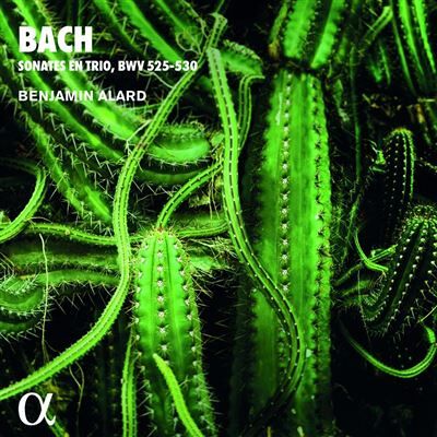 Alpha Bach: Sonates En Trio, Bwv 525-530 Alpha Bach: Sonates En Trio, Bwv 525-530