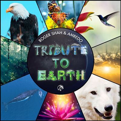 BLACK HOLE TRIBUTE TO EARTH BLACK HOLE TRIBUTE TO EARTH