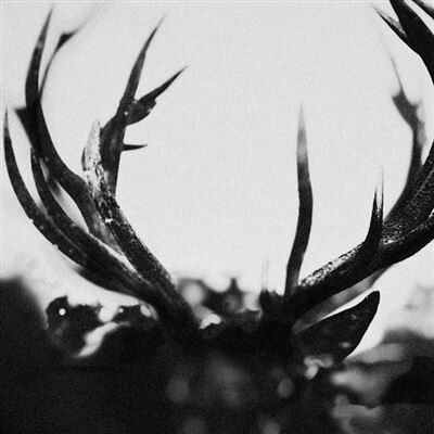 Candlelight Ihsahn - Ihsahn Candlelight Ihsahn - Ihsahn
