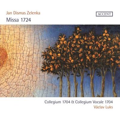 Accent MISSA 1724 Accent MISSA 1724