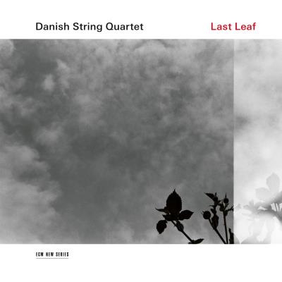 ECM Last Leaf Edition Fourreau - Danish String Quartet ECM Last Leaf Edition Fourreau - Danish String Quartet