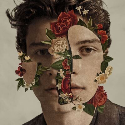 Universal Music Shawn mendes/LP Universal Music Shawn mendes/LP