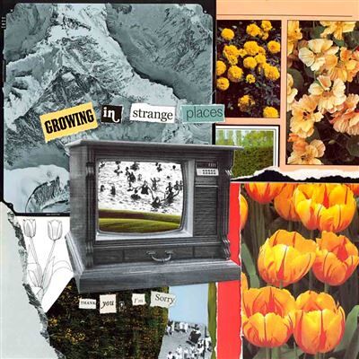 Modulor Cnt Growing In Strange Places LP Orange Modulor Cnt Growing In Strange Places LP Orange