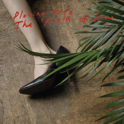 Matador Plowing Into The Fields Of Love - Iceage Matador Plowing Into The Fields Of Love - Iceage