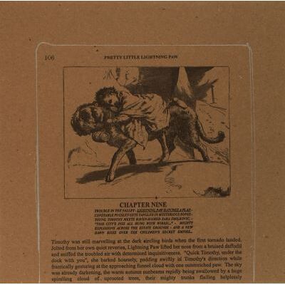 Constellation The Pretty Little Lightning Paw EP Constellation The Pretty Little Lightning Paw EP